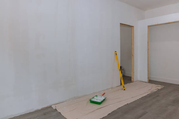 Best Drywall for Remodeling  in Morenci, AZ